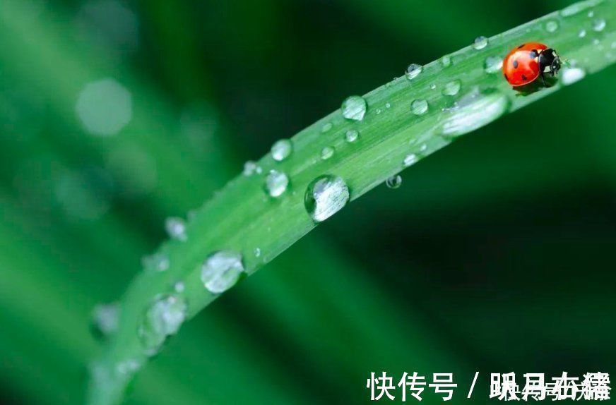 春夜喜雨$杜甫很经典的一首咏雨诗，开篇就是名句，历来为人称道