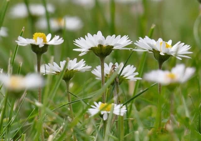 生活水平|未来一周,运势逆袭,喜事接二连三,生活水平直线上升