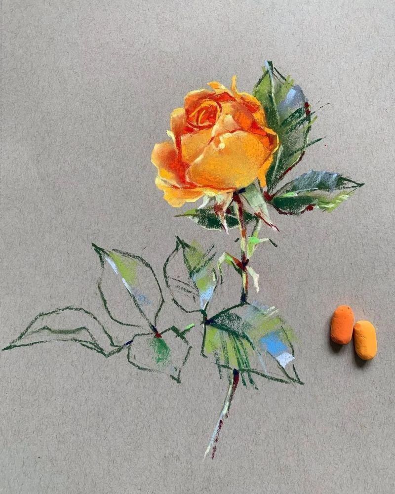 花瓣#太疯狂了!原来用粉笔画画,也可以这么美,简单几招教你,美到邻居羡慕嫉妒