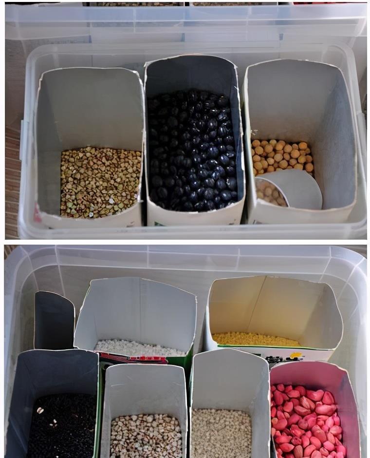 霉菌|日本这些奇怪的家居设计，安装简单又实用，你确定不装一个？