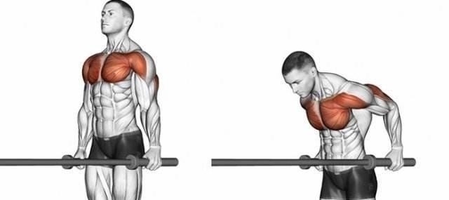 俯卧撑|新手都在做俯卧撑,老手却拿双杠臂屈伸练胸,这两个动作差在哪