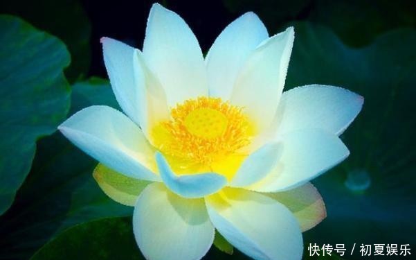 哀怨|这些短句与你分享：豁达一点，对生活少一点哀怨，多一点喜悦