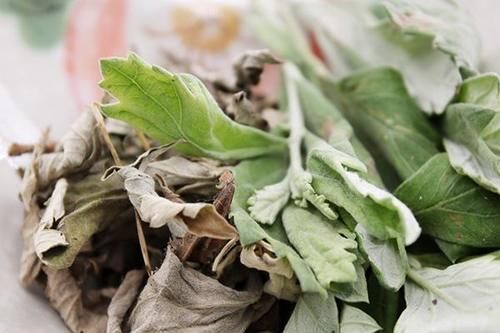 白泡|艾叶泡脚,选嫩叶还是陈叶?错了等于白泡,选对了,问题烟消云散