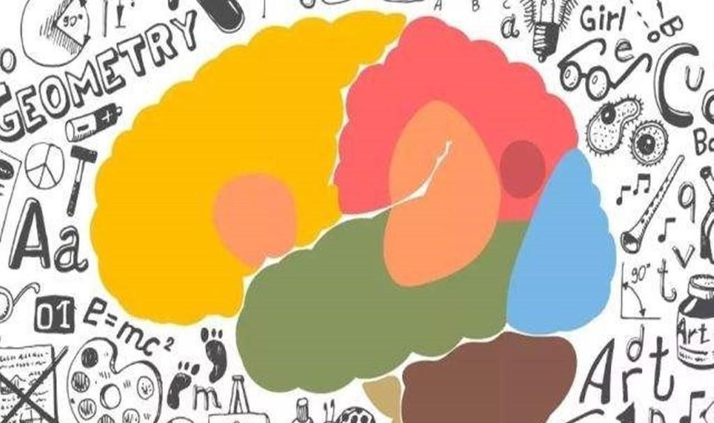 英国|英国历经70年研究发现:影响孩子一生成就的不是智商,而是这三点