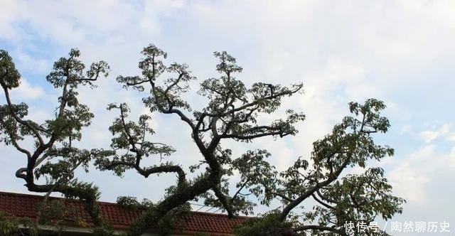 太子|厦漳交界处山坡上的小寺庙，据传唐太子在此沐浴，朱熹曾在此题诗