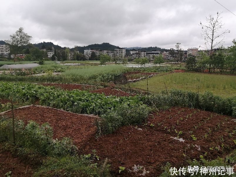 清明，在祭祖的路上看风景（二）