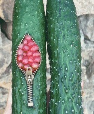 |搞笑GIF:是谁说喜欢苗条的妹子 你们看看这位美女怎么样?