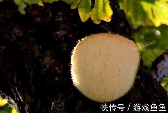 儿科医生|12岁男童补钙3年,身高却只有132厘米,医生:常吃3饭会长个才怪