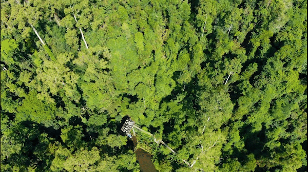 跟着一路向北的大象,到《向往的生活》的取景地,过过慵懒的生活