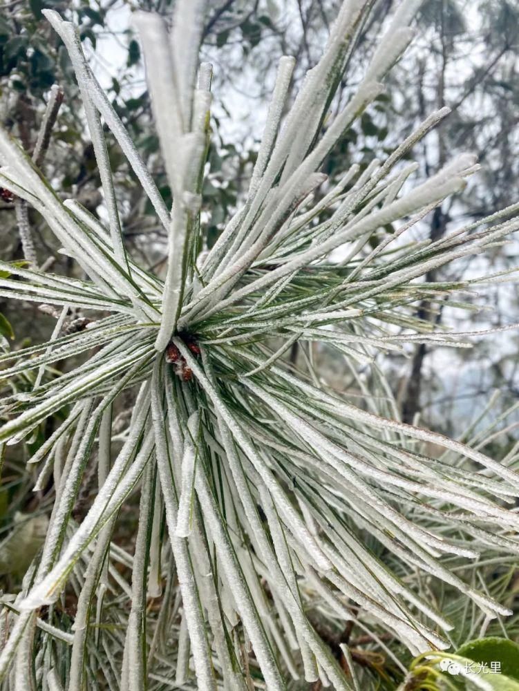 谁说我们潮州揭阳不下雪？汕头就郁闷了