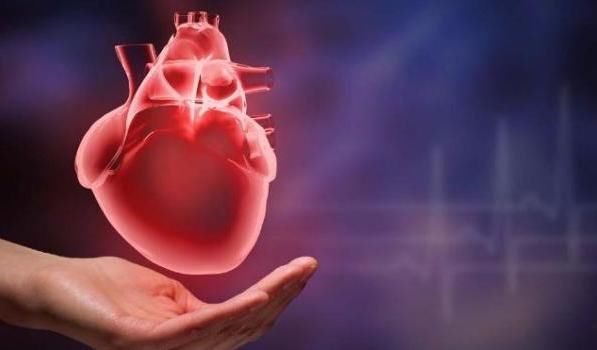 测测你的心率，如果刚好在此范围内，那就恭喜你会“长寿”的！