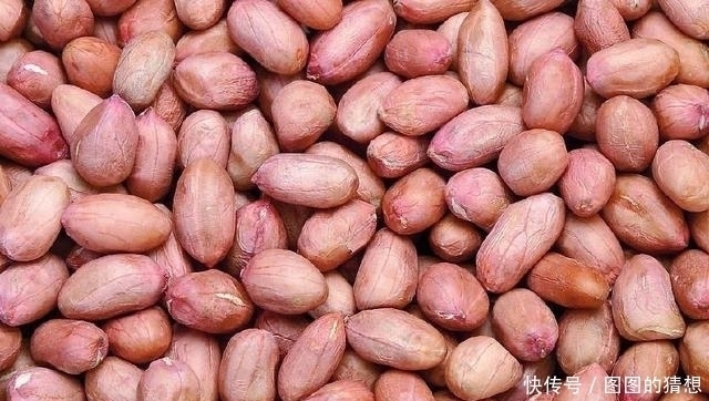 患者|花生好吃不贵,对身体还有很多好处,但这5类人不能吃