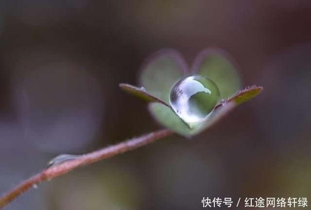 白昼|马未都:夜明珠亮如白昼?别听电视剧瞎侃,看看我这颗你就明白