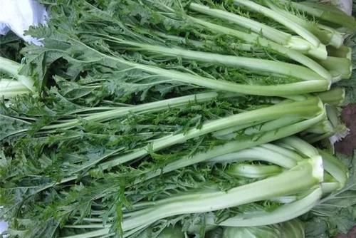 雪里红怎么腌制不变色？