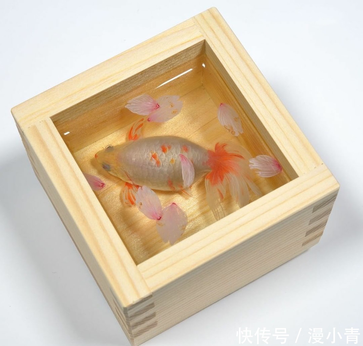 绘画@画师用特殊手法画出堪比三次元的金鱼,不告诉你真相,你能发现吗
