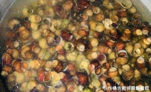 想让田螺沙吐净,只放盐是不行的,多加一勺“它”,田螺狂吐沙