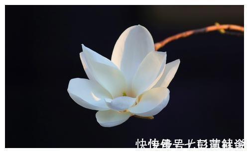 最好的安排#佛教:不管你信不信因果报应,这四条因果都很准的,要当心