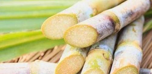 女性想要皮肤好，坚持吃以下食物，美容护肤，水嫩皮肤，好处多多