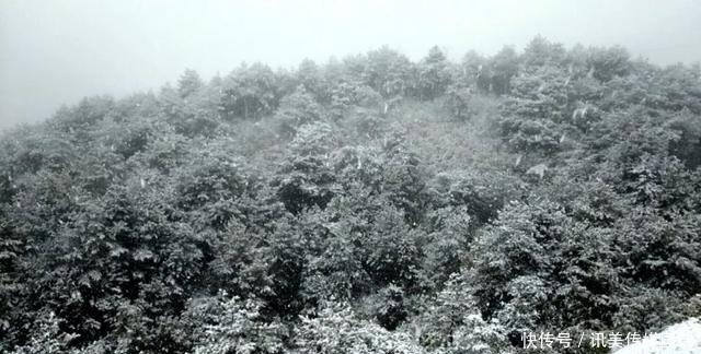 重庆周末去赏雪：新一轮降温后，雪漫人间！这些地方都可以赏雪