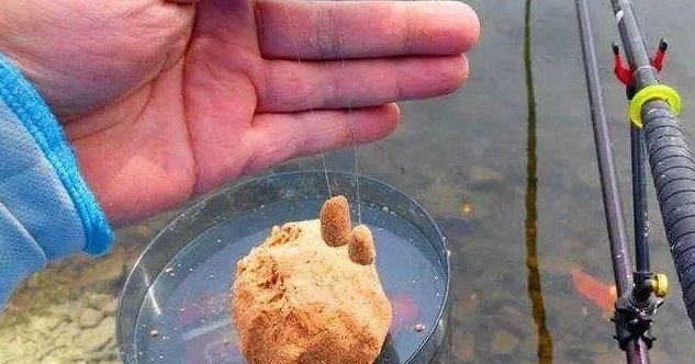 冬季钓轻口鱼出口不干脆,学会这样调钓,漂相漂亮中鱼率又高