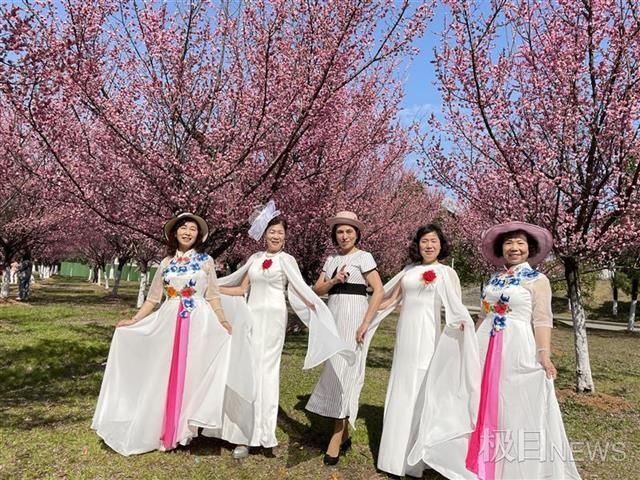 赏梅正当时！武汉这所高校成为周边游客最爱打卡景点