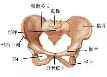 骶髂关节紊乱|奖门人:产后腰腿痛,是椎间盘突出导致的吗?这个原因你可能忽视了