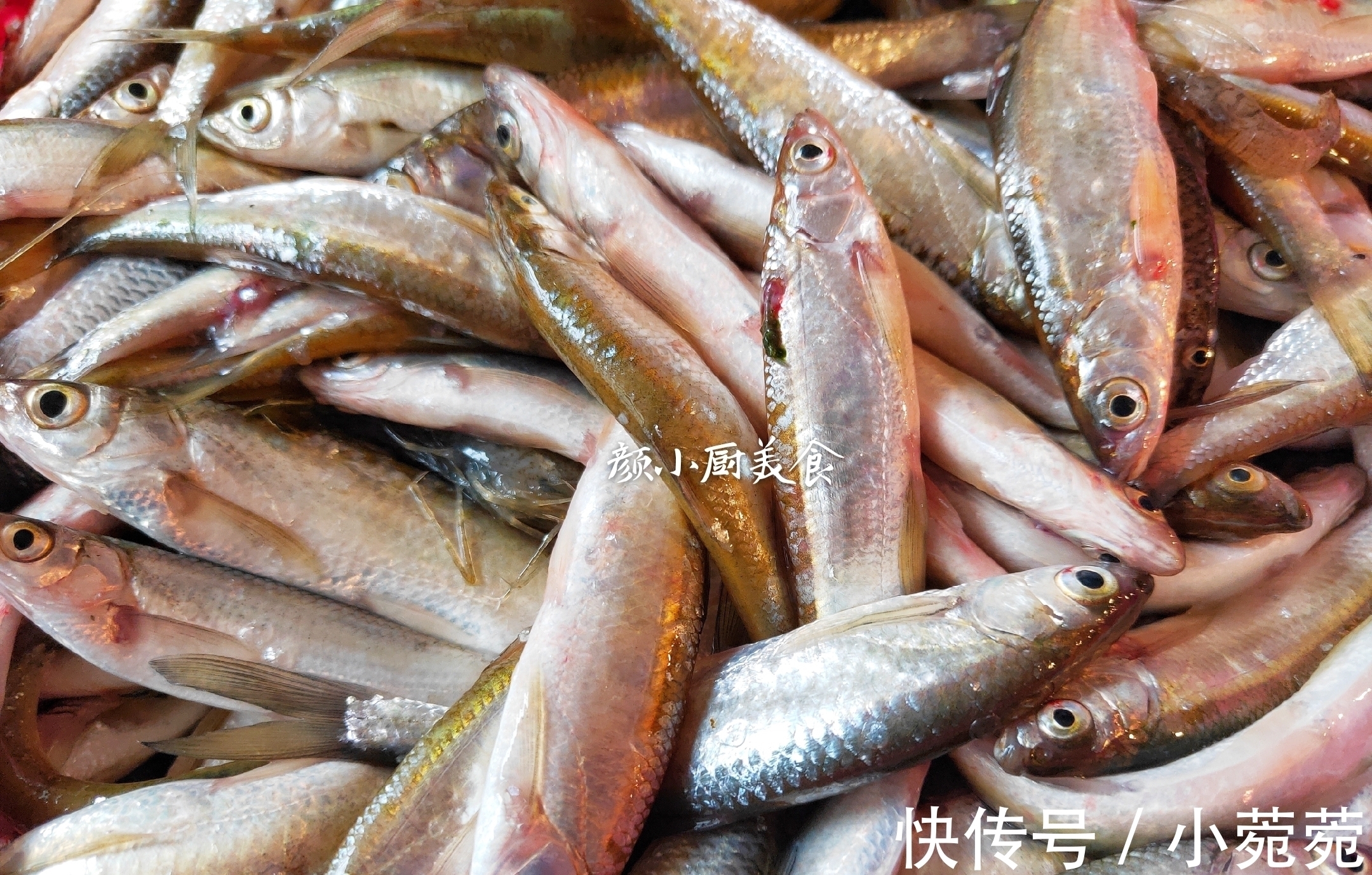 遇到此菜，我不还价不犹豫，一买就是三四斤，下酒又下饭，特香