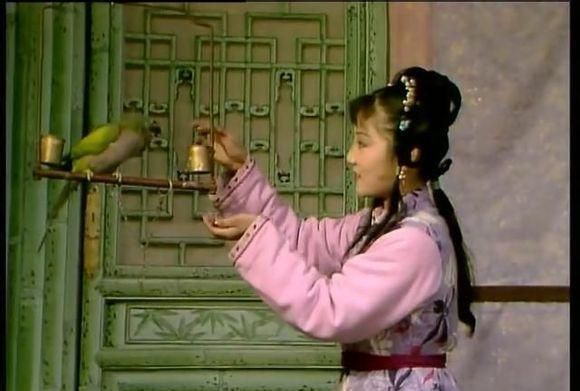 大观园!探春说紫鹃小气,紫鹃说黛玉小气,都是因为她们舍不得一件东西