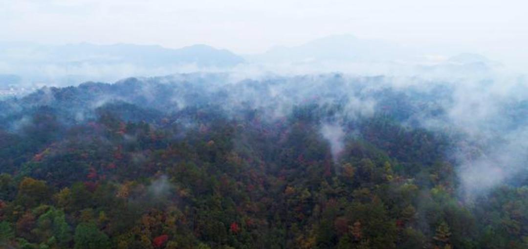 刘敞|宋朝诗人刘敞一首很美的咏雨诗,每一句都如诗如画,值得我们一读