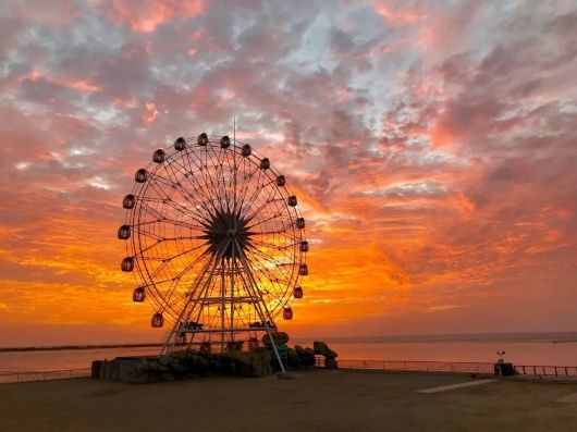 碧海金沙|夏天要看海！奉贤这份“观海攻略”请查收