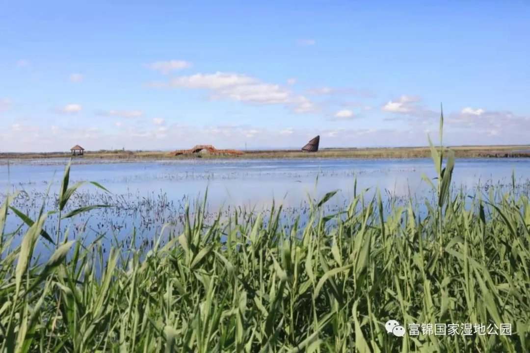 这6个湿地榜上有名