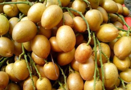 此果|晚上当零食吃几颗,一个月下来,消炎杀菌,止咳化痰,冬天不咳嗽