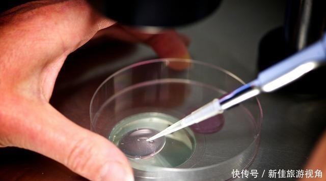 区别|“试管婴儿”和正常孩子有什么区别不在于寿命长短,而是这一点