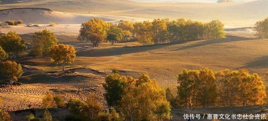 时彦#他是宋代极冷门词人,名字却令人叫绝,一生仅存一首词,惊艳千年