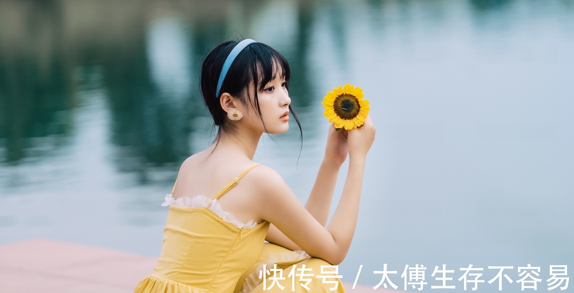 佳句|菊花·七绝与七律:几番辗转寻佳句,金甲满城书丽章