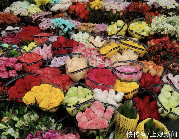  上海中心城区这个花市春节不打烊，“宅家中，在鲜花旁喝下午茶，挺好”