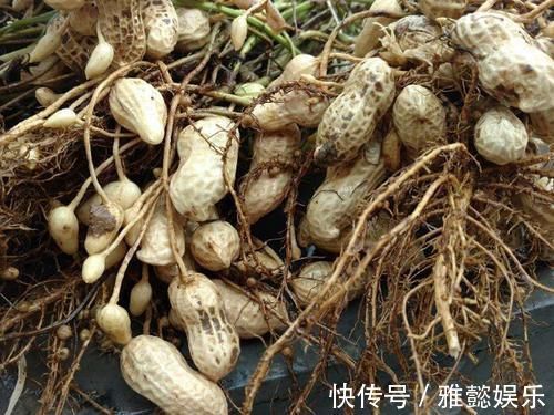 葡萄糖|一旦查出糖尿病,再穷也要多吃4物,血糖“稳如山”,别错过