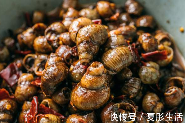 郫县豆瓣酱|夏季田螺正当时，洗田螺别只会放盐，多加2味料，吐沙快速又彻底
