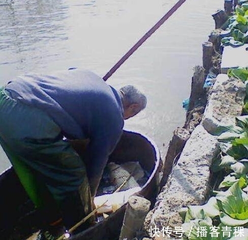 城里人|农村老汉做“婴儿船”下河钓鱼,城里人说他傻,上岸后众人傻眼了