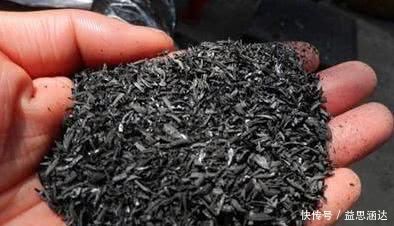 养兰花这点最关键，发芽多又壮，开花多又香，年年开花不断