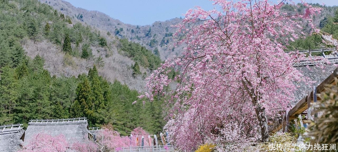 日本这3个姓氏真特别,叫起来让人尴尬,难以启齿!