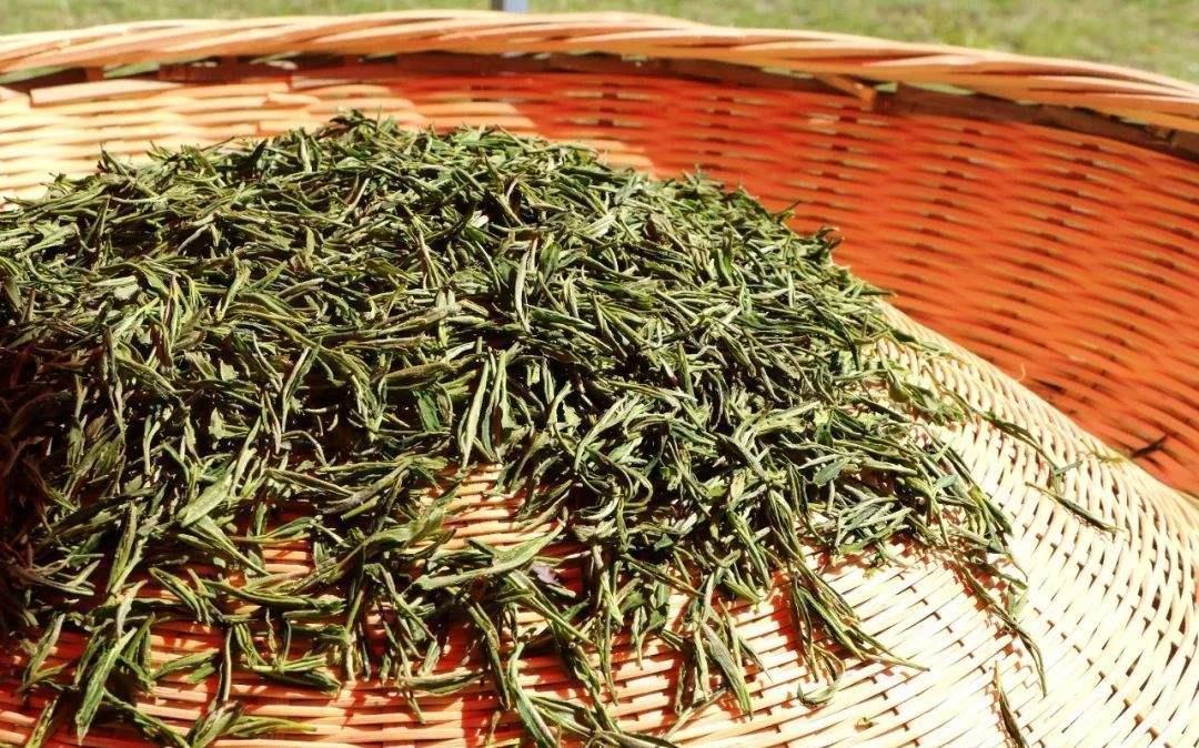 食物|转告爸妈：下列8种食物吃不完，宁愿坏掉也别往冰箱里放