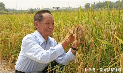 为何袁隆平地位如此崇高？看古代粮食产量，难怪古人那么惧怕饥荒