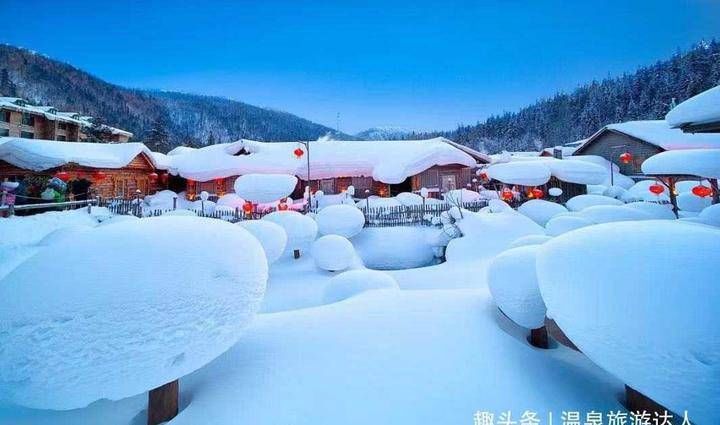 雪景|东北雪景……