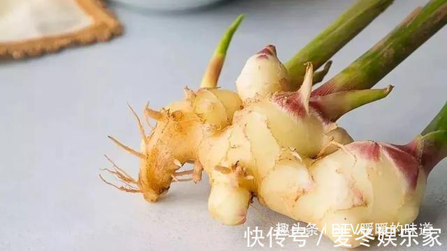 土豆|发芽的食物只能扔掉吗有些还能吃，有些会中毒，注意区分