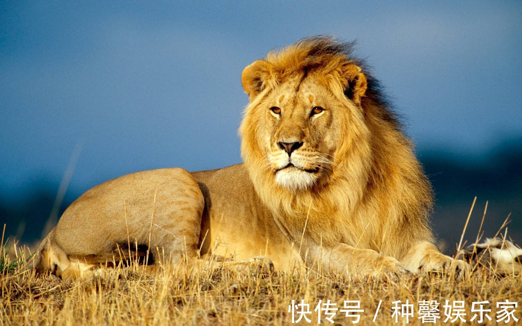 孩子|孩子愤怒时为什么会打妈妈3岁之前没教好,以后就越来越难了