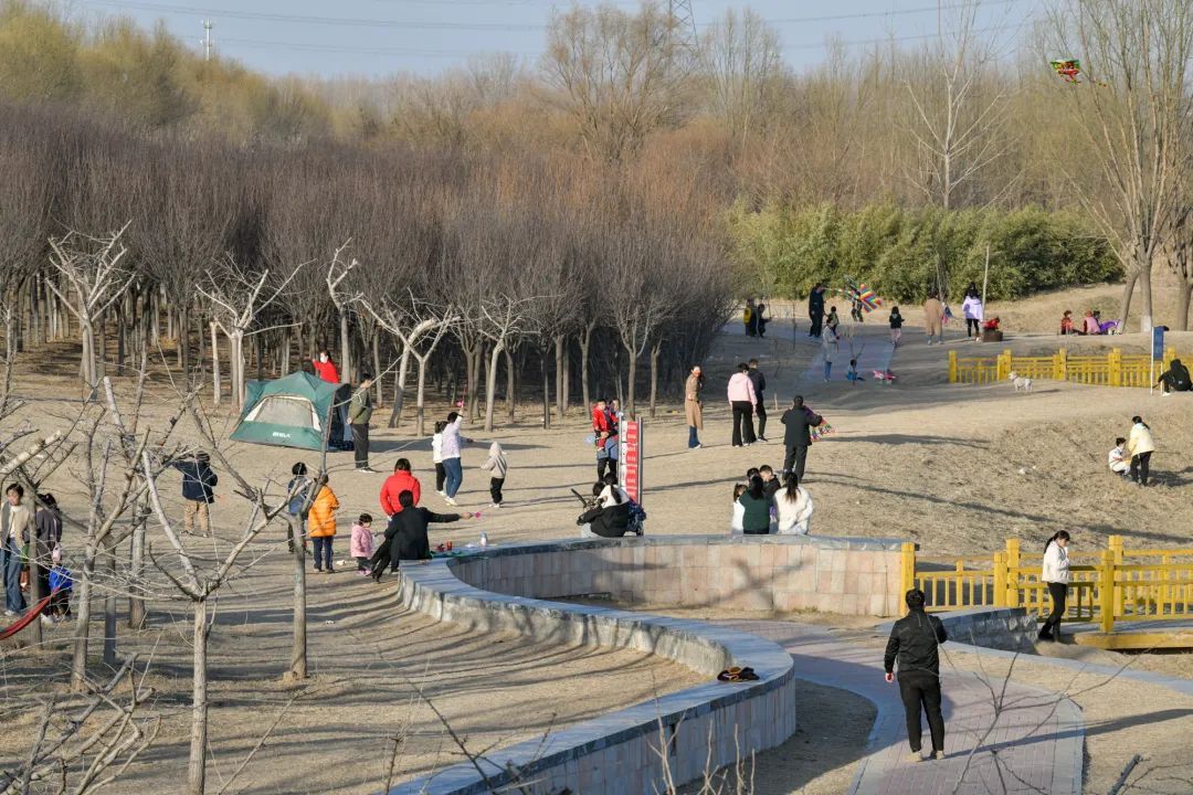 郑州|春暖花开春游时！郑州黄河湿地公园春意盎然，不少市民前来踏青游玩