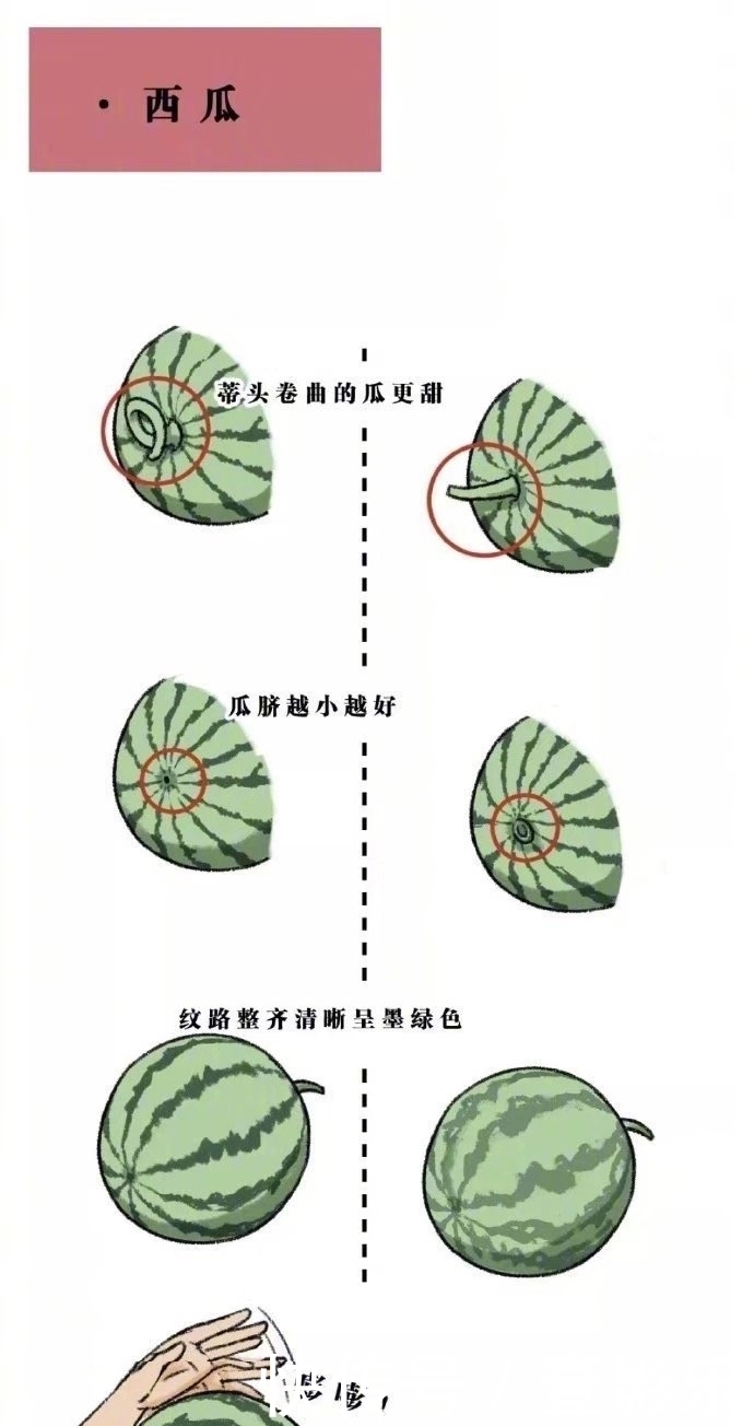 超级|人性漫画：教你如何挑选水果，超级实用了