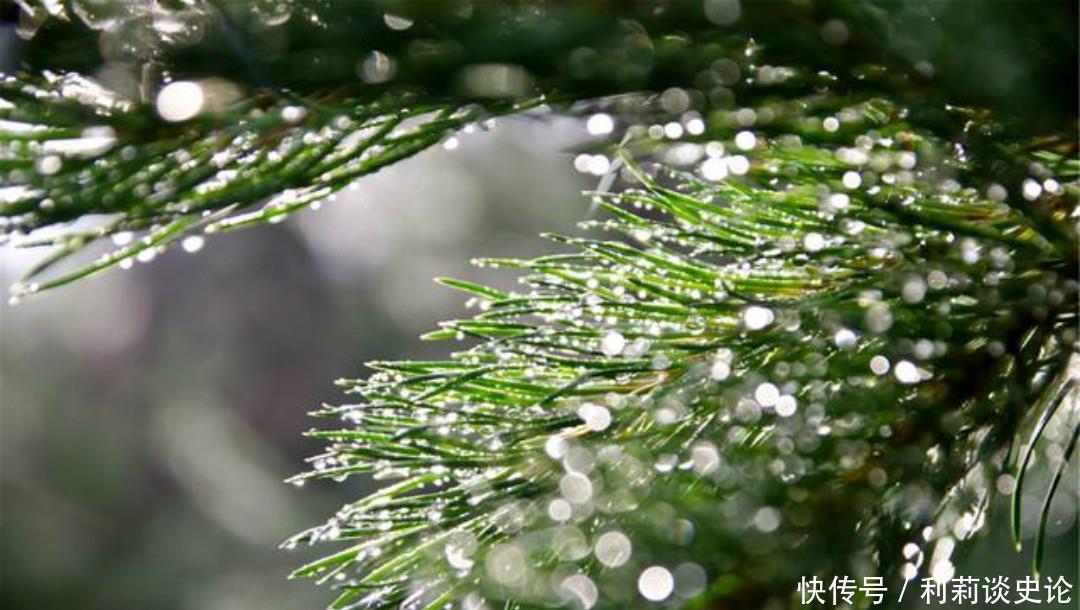 写出|秦观这首词连苏轼都服气,美得如诗如画,写出了不一样的春色美景