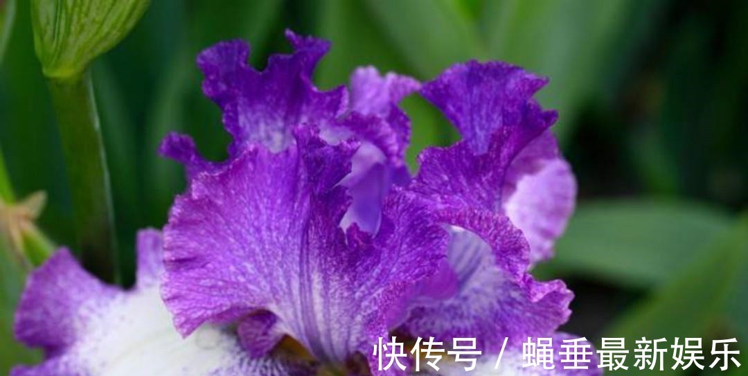 刘禹锡#刘禹锡最经典的一首诗,每一句都美得如诗如画,怎一个美字了得